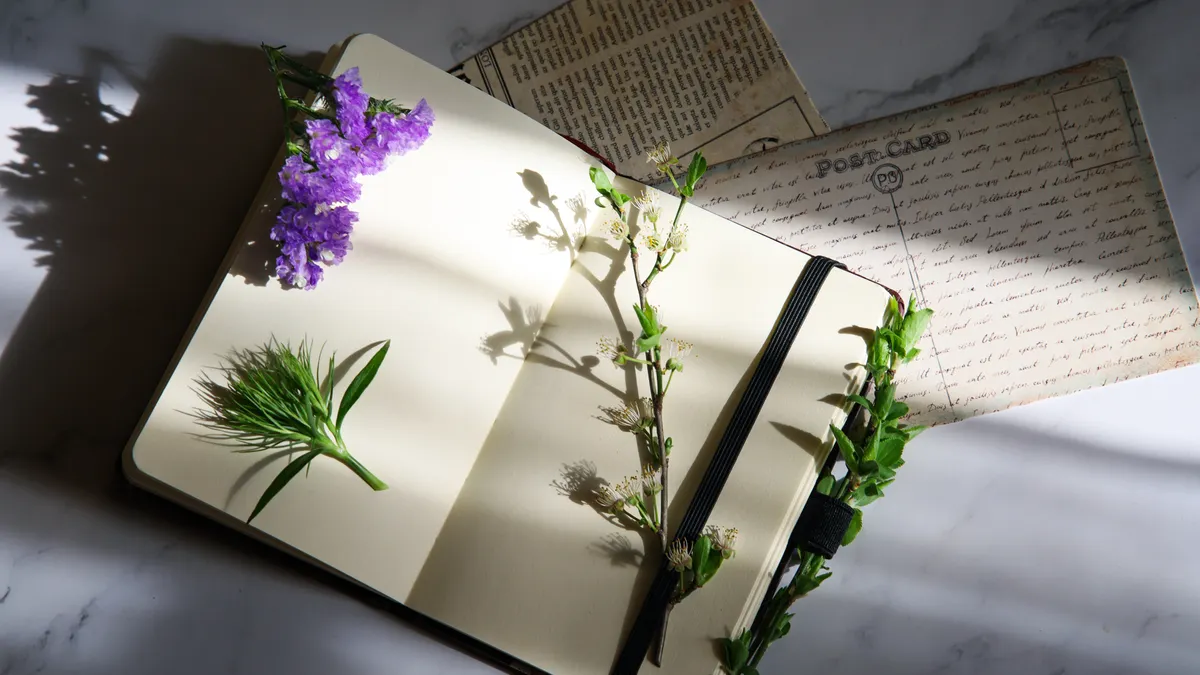 Best journaling techniques for beginners Best journaling techniques for beginners — Journal with Plants
